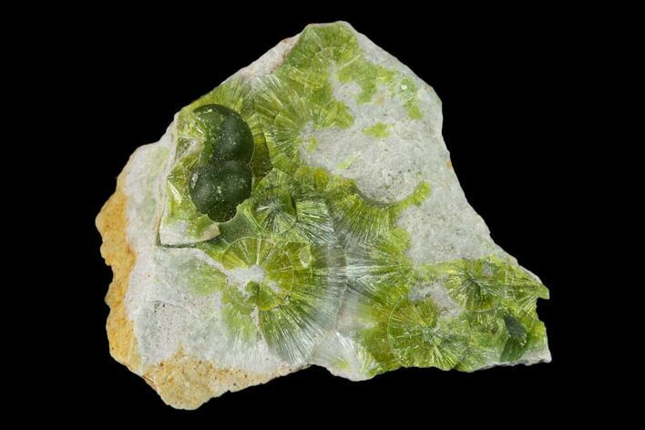 Radiating, Green Wavellite Crystal Aggregation - Arkansas #135952